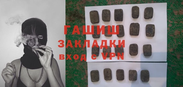гашик Алексин