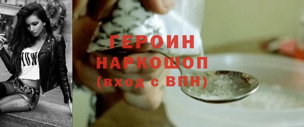 гашик Алексин