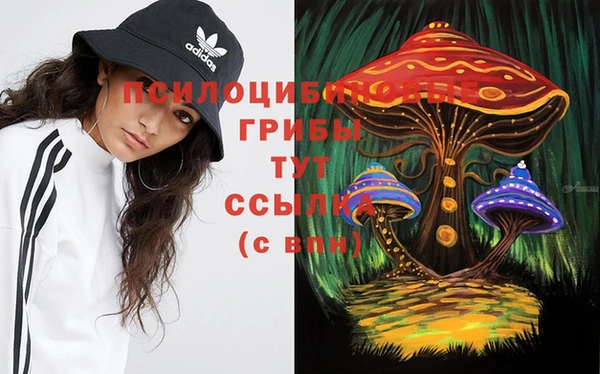 эйфоретик Алексеевка