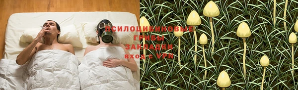 эйфоретик Алексеевка