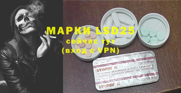 гашик Алексин