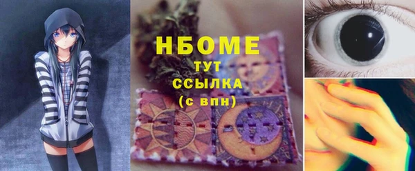 гашик Алексин