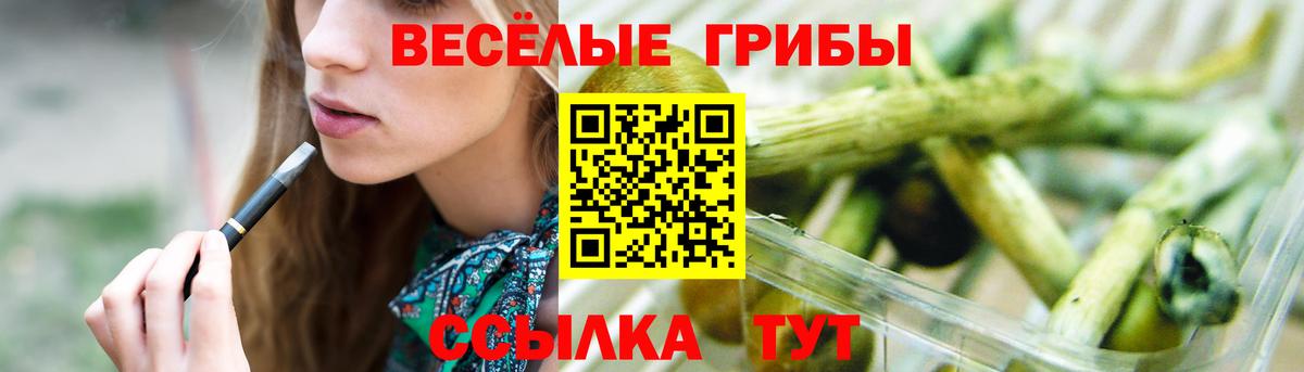 Псилоцибиновые грибы мухоморы  магазин продажи   Галлюциногенные грибы Psilocybine cubensis  Глазов  Вход с VPN 